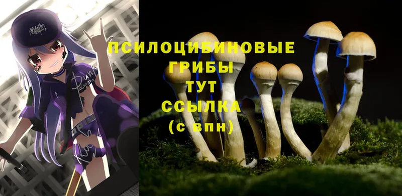 OMG вход  Мариинский Посад  Псилоцибиновые грибы MAGIC MUSHROOMS 